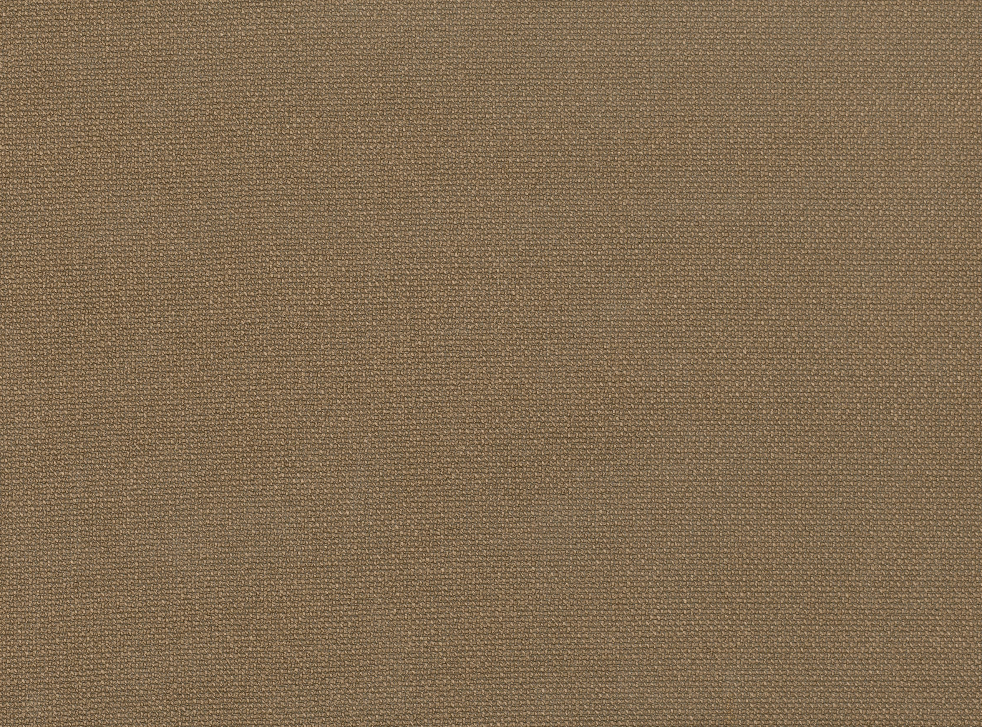 BLACK EDITION Belisto Walnut 9052/05 BLACK EDITION Belisto Walnut 9052/05