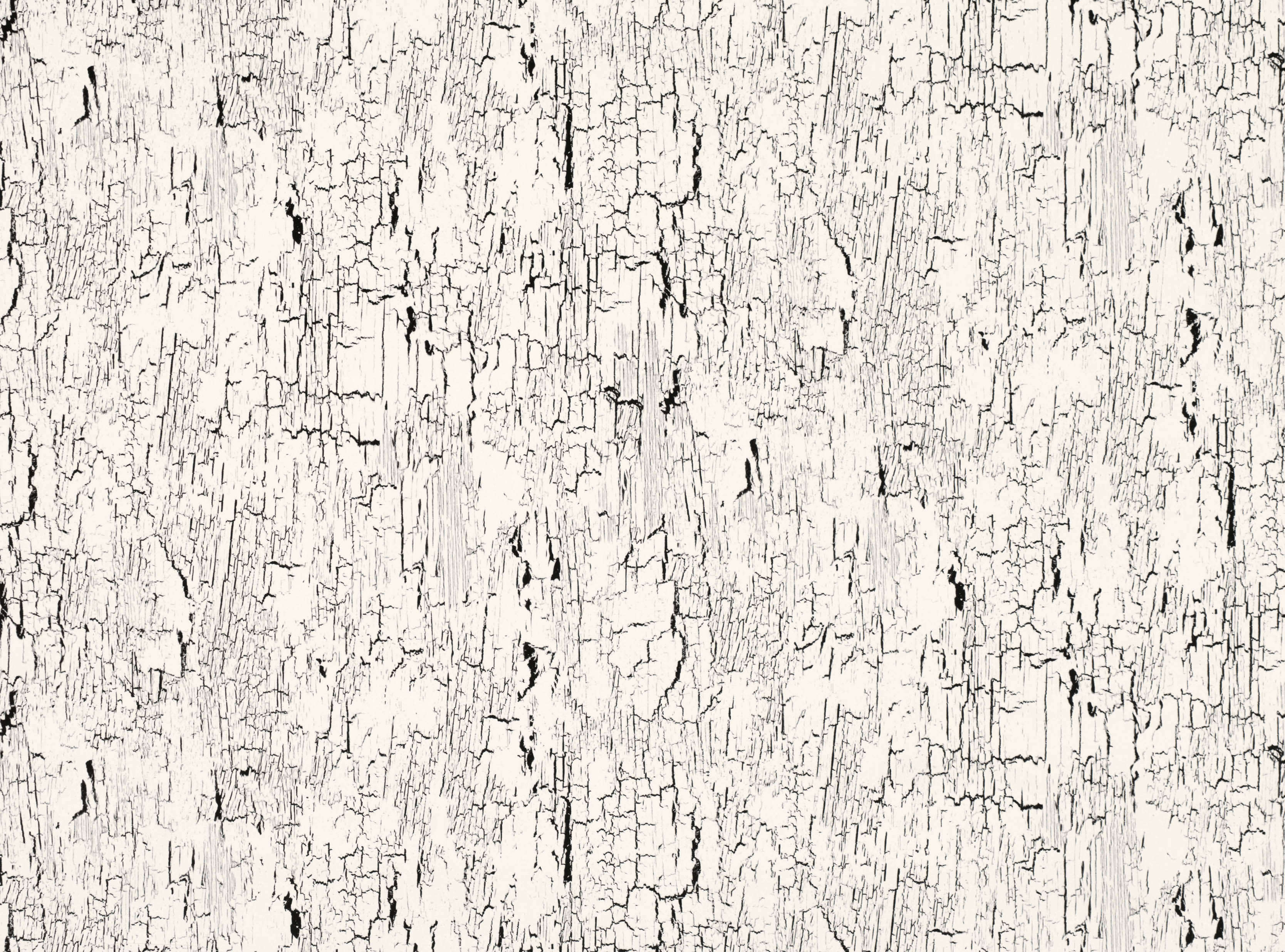 BLACK EDITION Antica Whitewash 9001/01 BLACK EDITION Antica Whitewash 9001/01