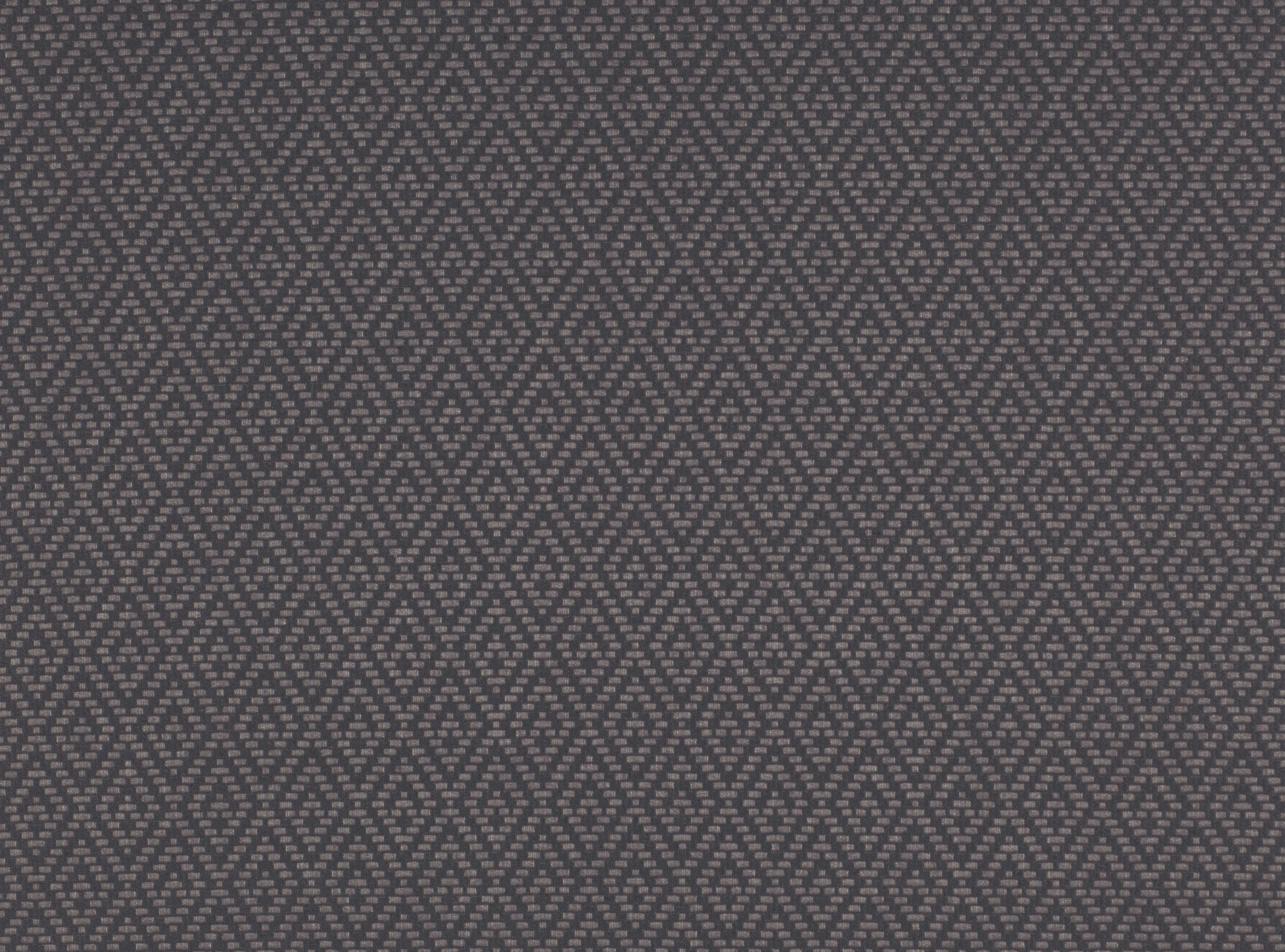 BLACK EDITION Chihiro Grey seal 7677/07 BLACK EDITION Chihiro Grey seal 7677/07