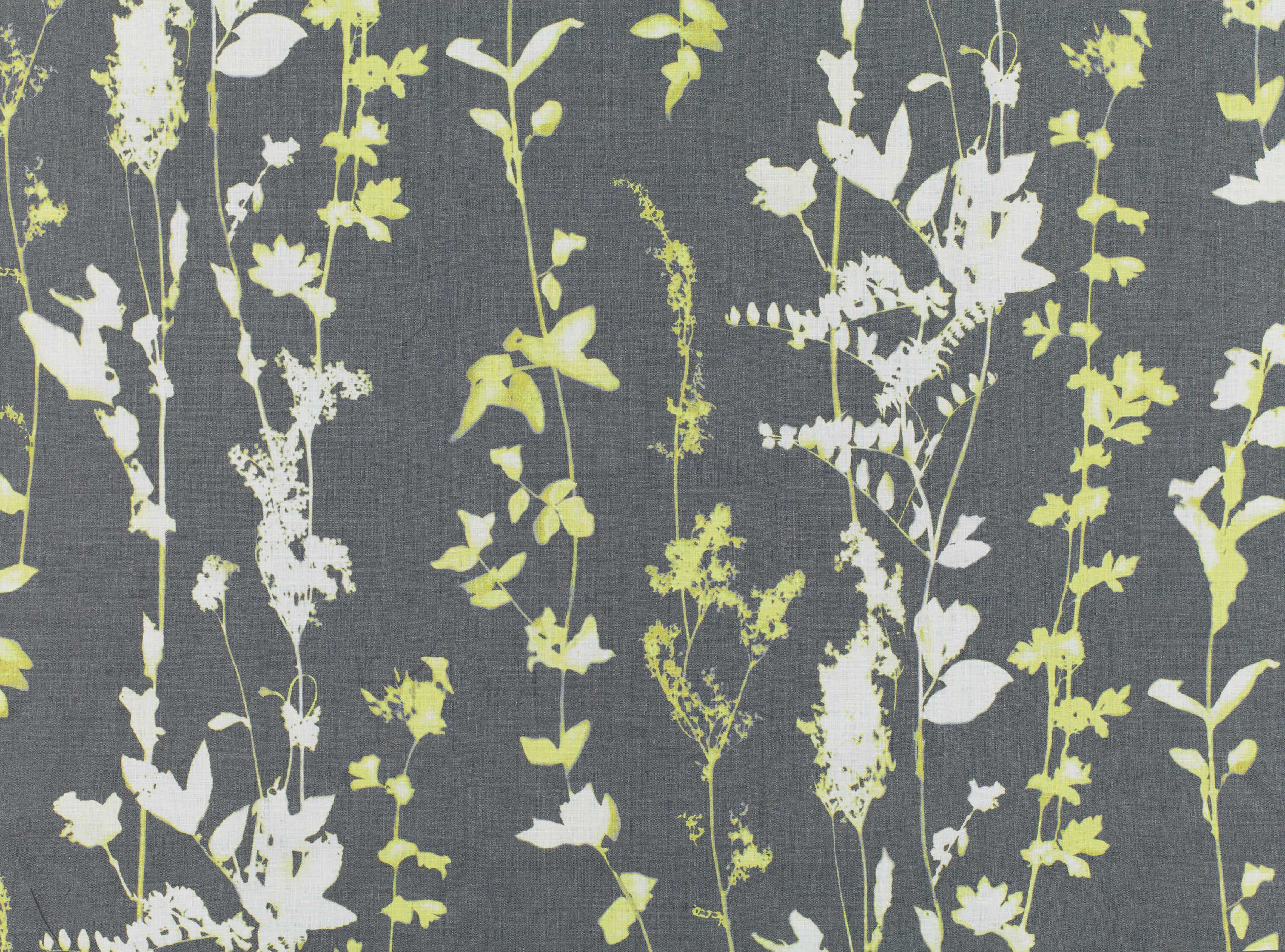 BLACK EDITION Botanica French grey 7564/02 BLACK EDITION Botanica French grey 7564/02