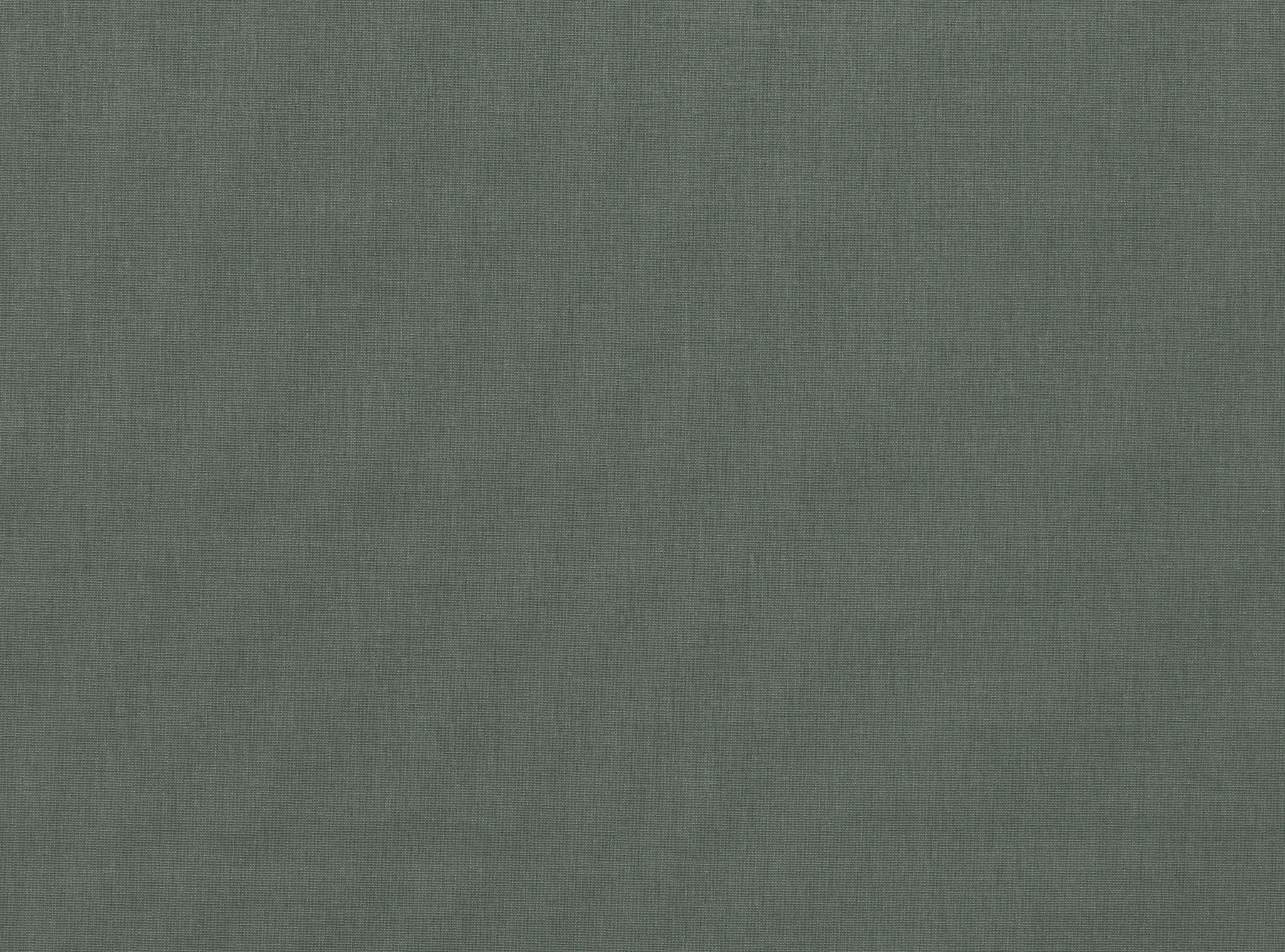 KIRKBY DESIGN Sahara 3 Thicket K5044/153 KIRKBY DESIGN Sahara 3 Thicket K5044/153