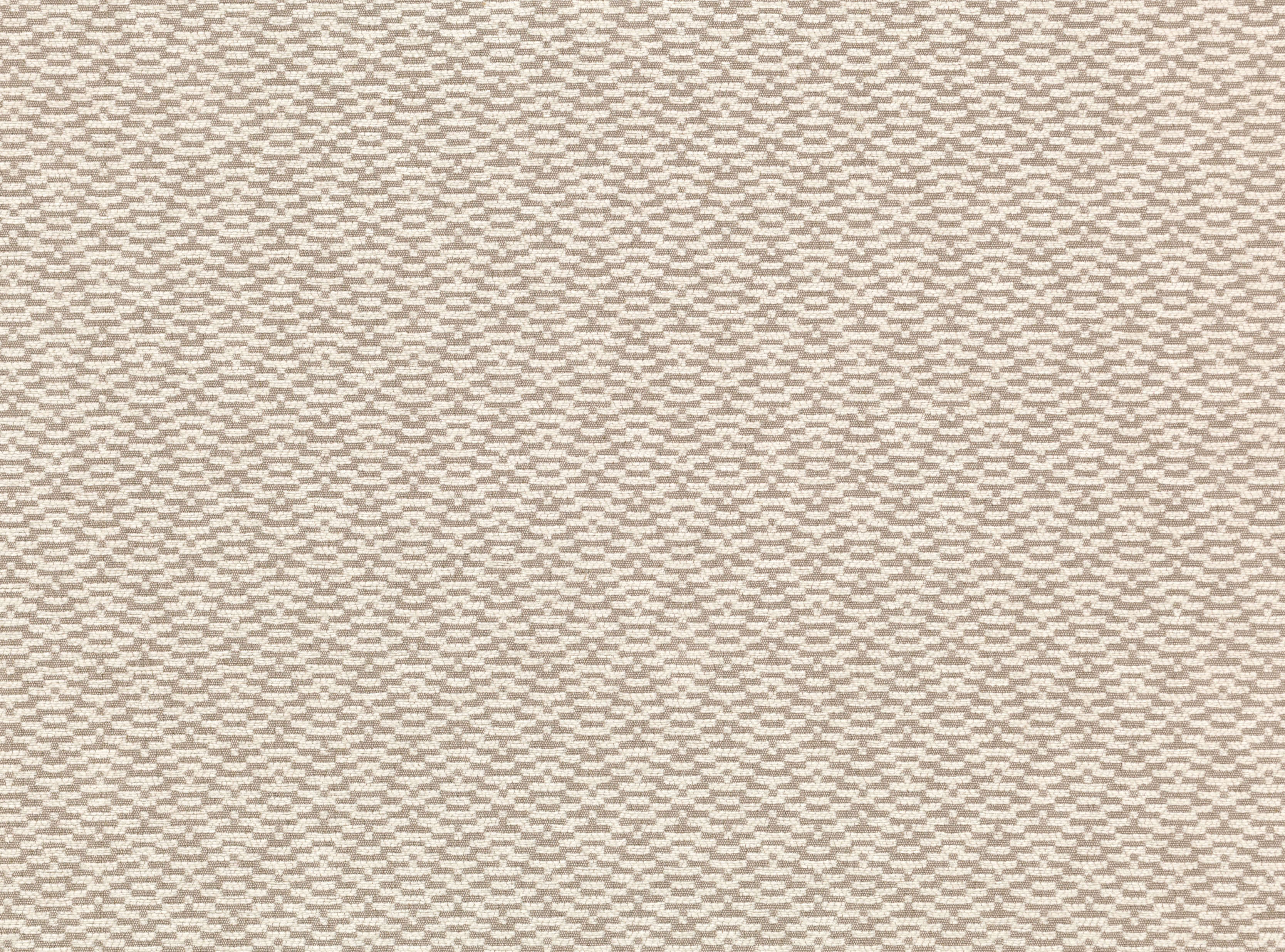 ROMO Calida Jasmine 7883/01