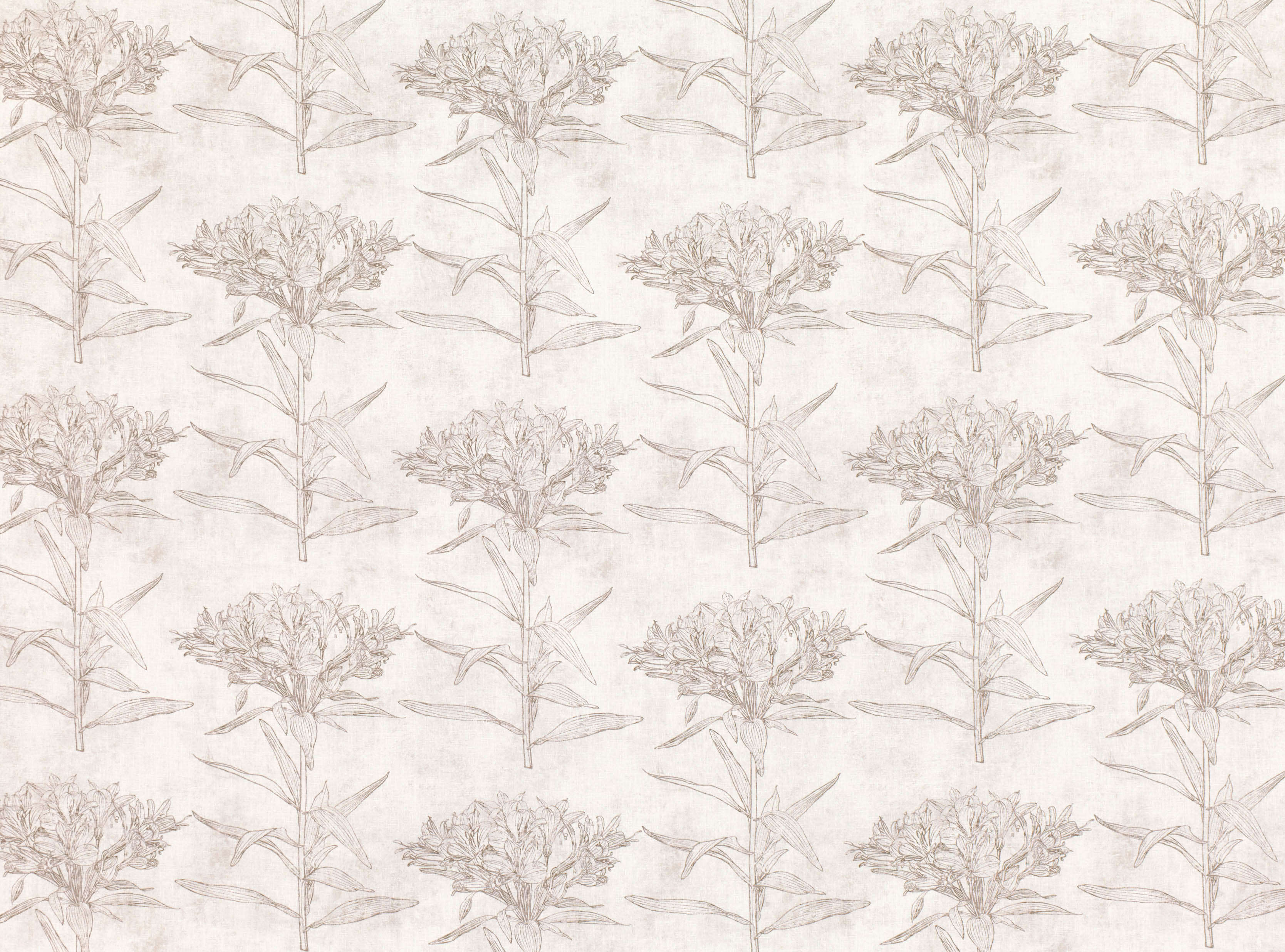 ROMO Oriana Chamois 7849/04
