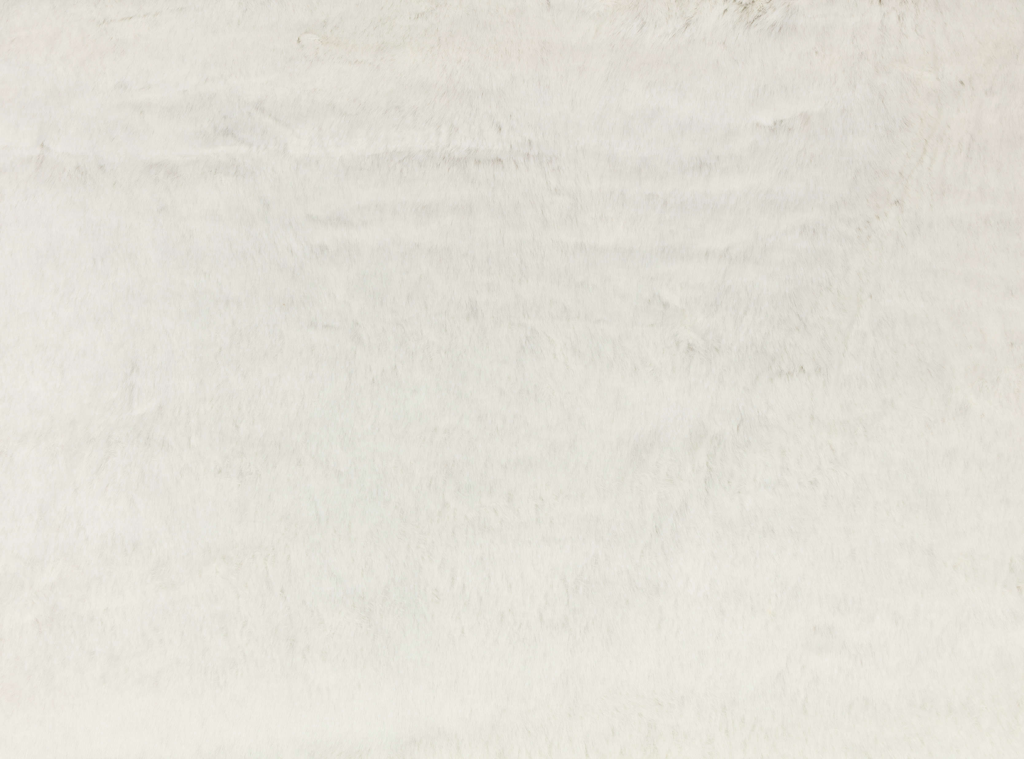 ZINC TEXTILE Ermine Ermine Z507/01 ZINC TEXTILE Ermine Ermine Z507/01